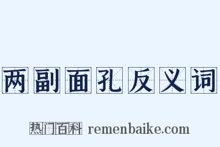 两副面孔反义词是什么意思的图片